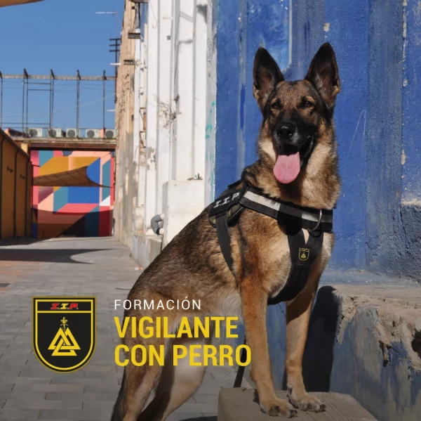 Curso para convertirse en vigilante de seguridad con perro
